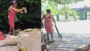 Maltrato a iguanas en Tampico indigna a usuarios